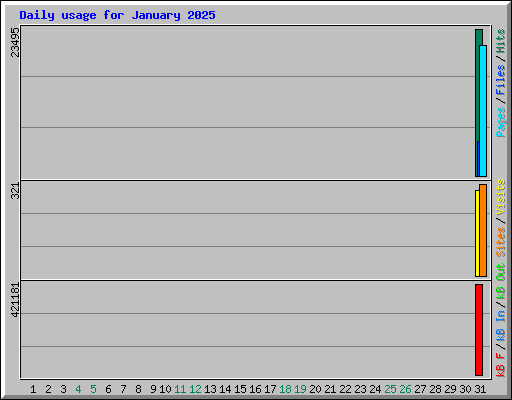 Daily usage for January 2025