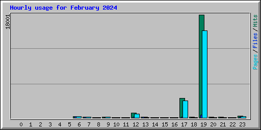 Hourly usage for February 2024