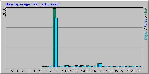 Hourly usage for July 2024