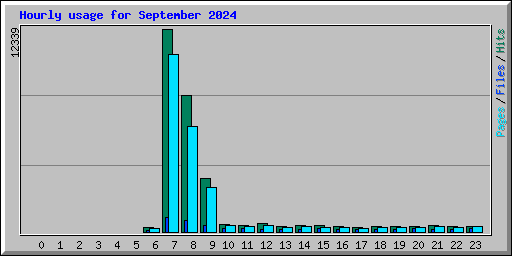 Hourly usage for September 2024